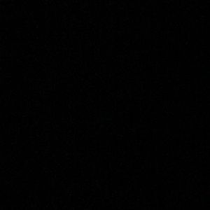 Meet your Posher, Max